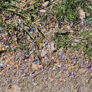 Coriandoli di plastica nel parco dopo il carnevale dei bambini. 